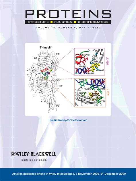 Image result for Protein Structure and Function