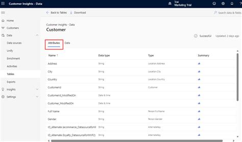 Image result for Customer DataTable