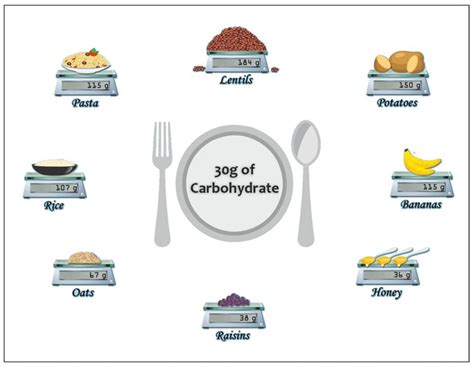 Performance Task Example About Carbohydrates に対する画像結果