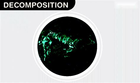 Afbeeldingsresultaten voor Decomposition Chemical Process