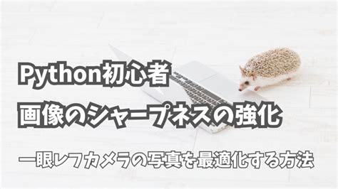 Python Body Inrehance に対する画像結果