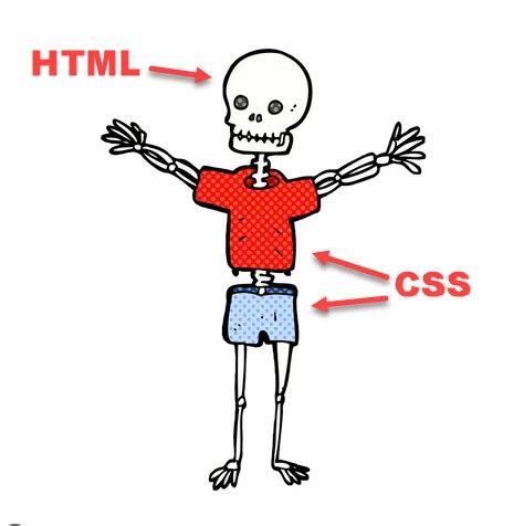 Image result for Verschil HTML En CSS