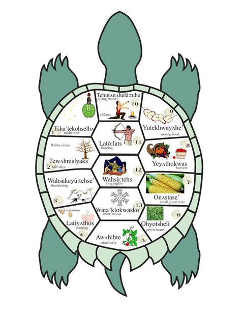 Toradh íomhá ar Turtle Shell Calendar