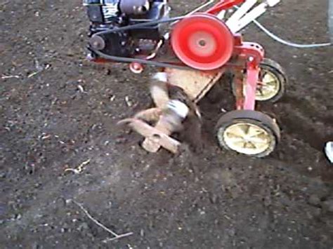 Image result for Roto Snapper