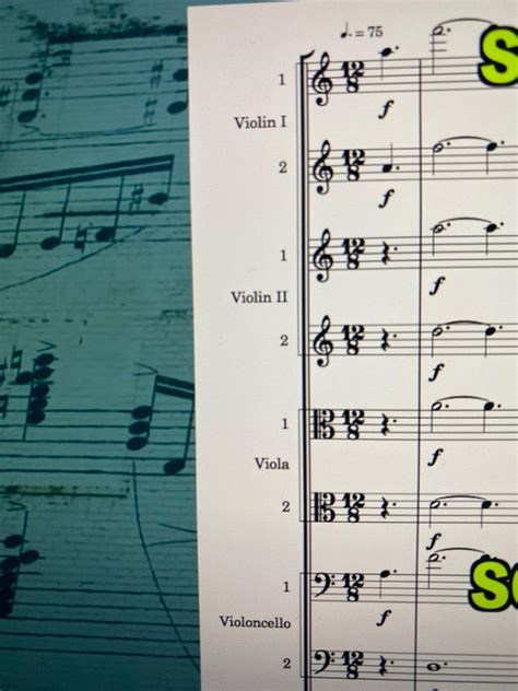 Image result for String Section All Names