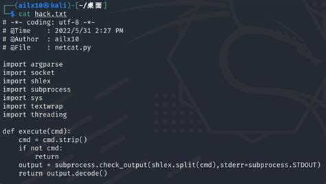Toradh íomhá ar Netcat Socket