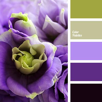 Afbeeldingsresultaten voor Violet Color