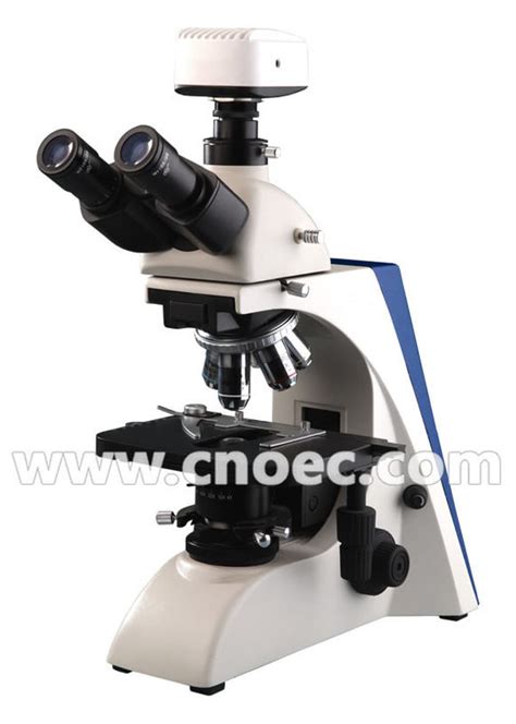 Image result for High Power Field Microscope