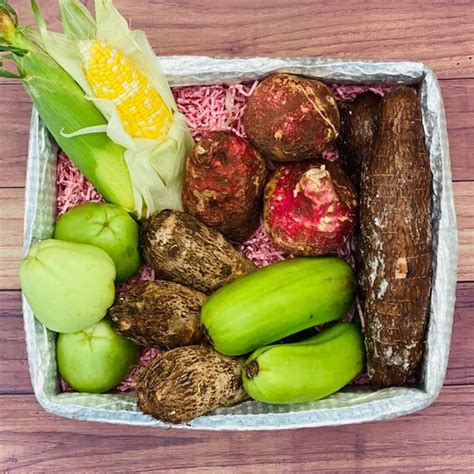 Image result for Root Box