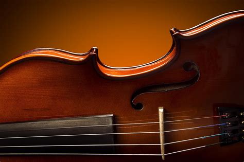 Image result for String Instruments Viola Violin