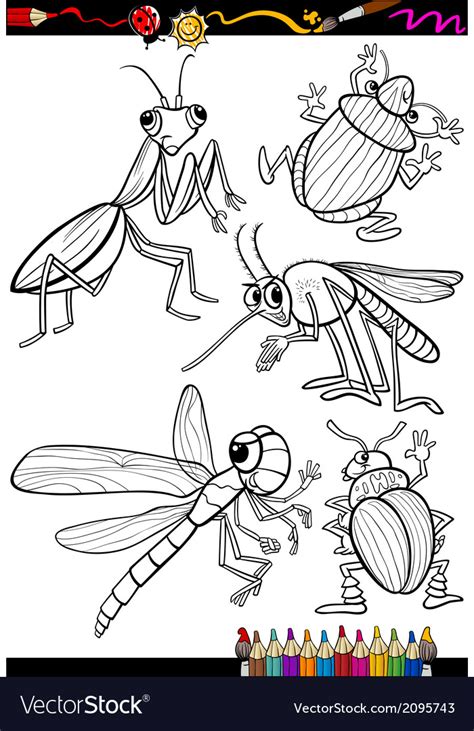 Image result for Insect Colouring