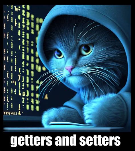 Image result for Setters Getters Python