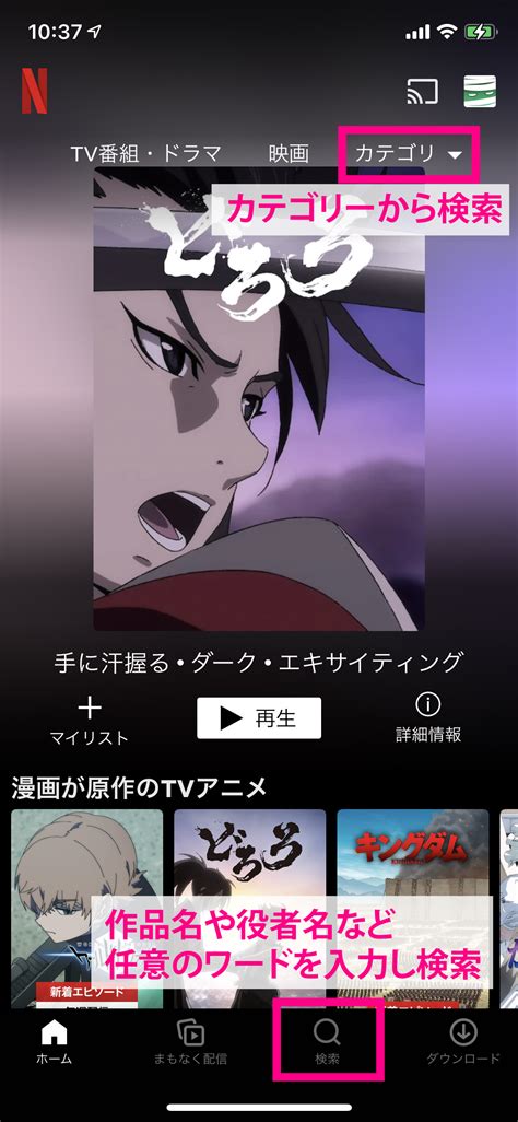 Image result for Netflix.com App