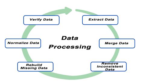 Image result for Forms of Data Processing