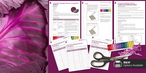 Toradh íomhá ar Making Red Cabbage Indicator