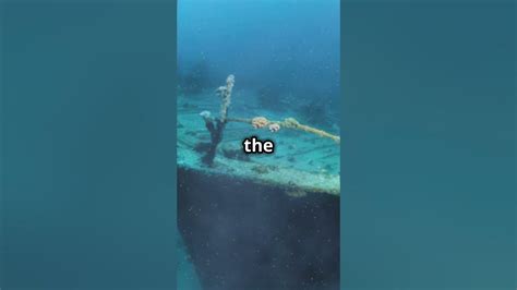 Grich Using Computer に対する画像結果