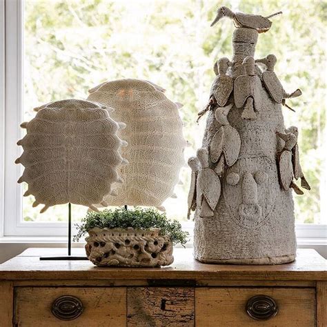 Image result for Bleached Turtle Shell