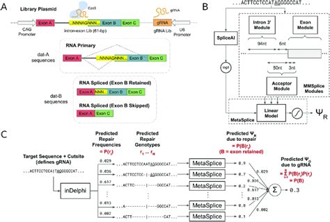 Afbeeldingsresultaten voor Notes Acceptor Machine Learning Schematic