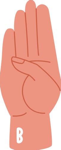 Image result for B Sign Language Vector