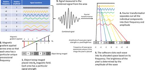Afbeeldingsresultaten voor Phase Encoding Gradient MRI
