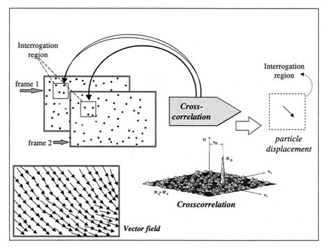 Afbeeldingsresultaten voor Example of Cross Correlation