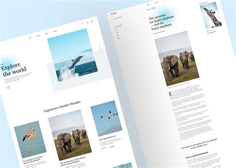 Image result for Blog Interface
