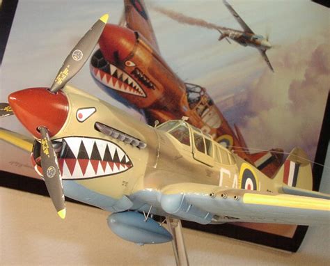 Image result for P-40 Reference Guide