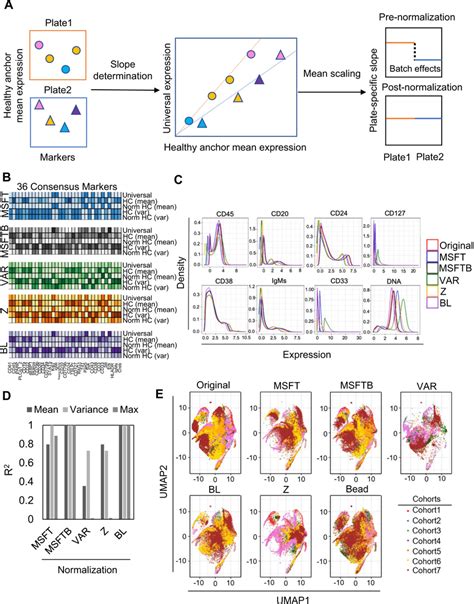 Beads Normalization માટે ઇમેજ પરિણામ