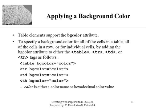 Image result for Background Colour for Table HTML Example