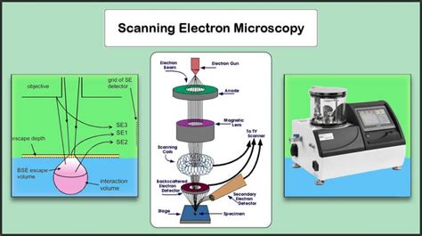 Image result for Scan Electron Microscope