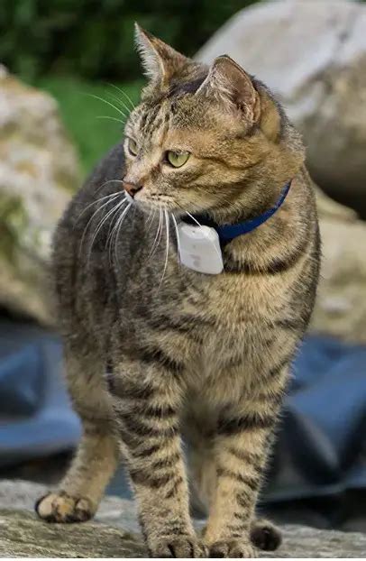 Collier GPS Chat に対する画像結果