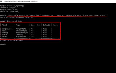 Int MySQL に対する画像結果