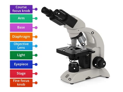 Image result for Different Lens On a Microscope Labeled