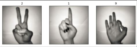 Image result for Digit Based Hand