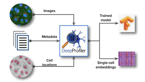 Image result for Comper Deep Learning Profiler Tools.pdf