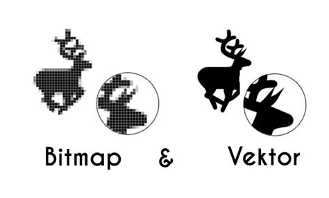 Toradh íomhá ar Contoh Gambar Vector vs Bitmap