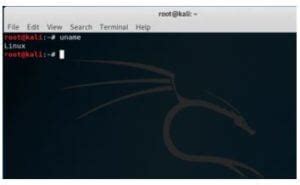 Image result for Kali Linux Terminal Commands