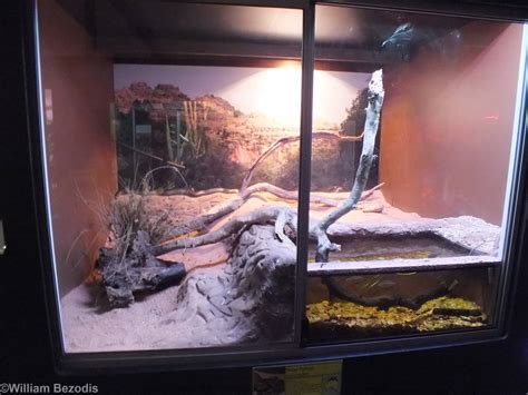 Image result for Python Zoo Enclosure