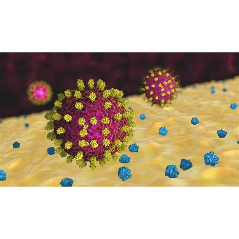Toradh íomhá ar Advanced Flow Cytometry