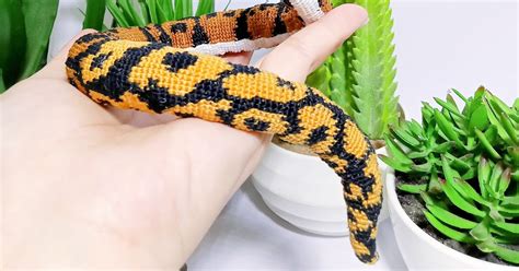 Image result for Crochet Python Patterns Free for Beginners