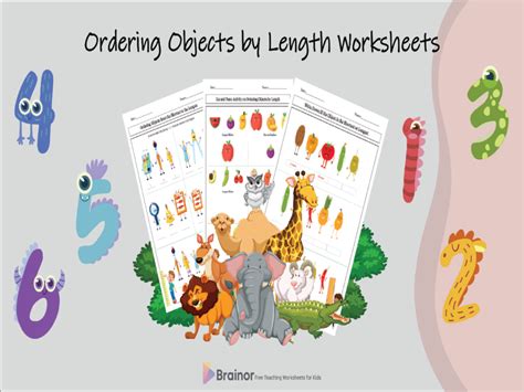 Ordering Objects Worksheet માટે ઇમેજ પરિણામ