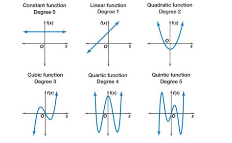 Image result for A Polynomial Function Examples