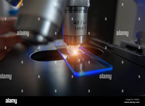 Close Up of Microscope Slide に対する画像結果