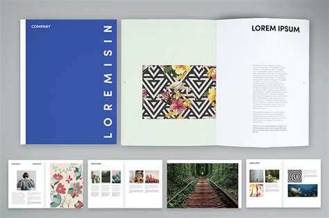Toradh íomhá ar InDesign Portfolio Colour
