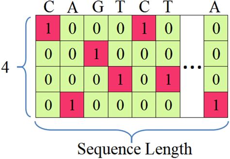 Image result for One Hot Encoding Binary Counter