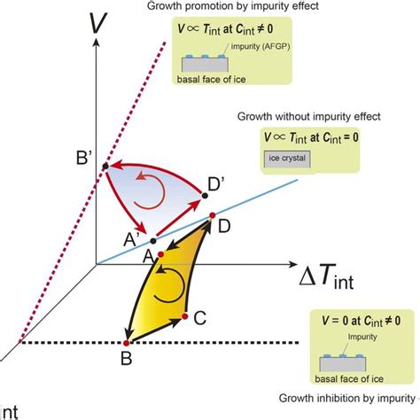 Image result for Growth Kinetics Graph