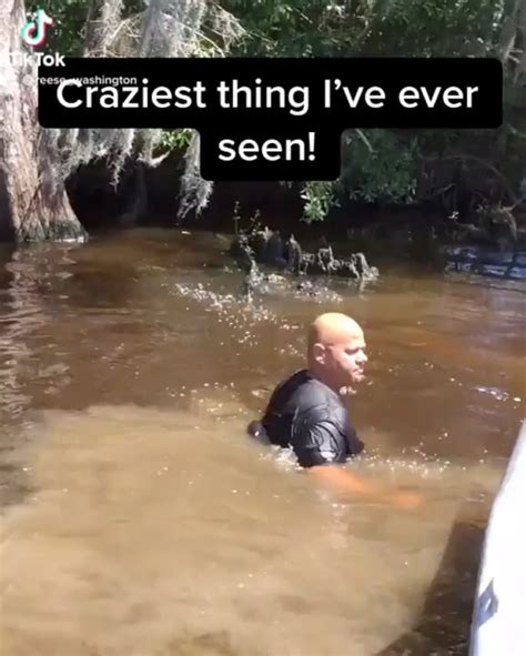 Image result for Guy Eating Pizza in Swamp with Alligator