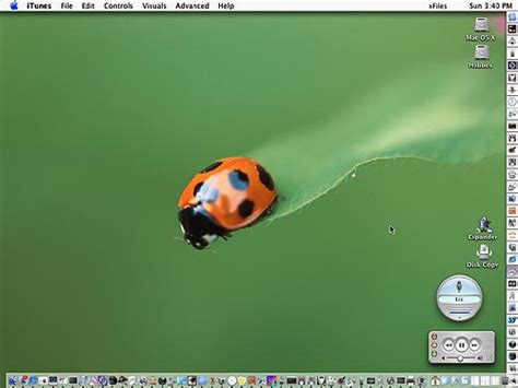 Image result for Mac OS X File System