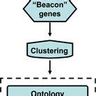 Microarray Simple Diagram に対する画像結果
