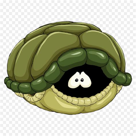 Image result for Sea Turtle Shell Vector